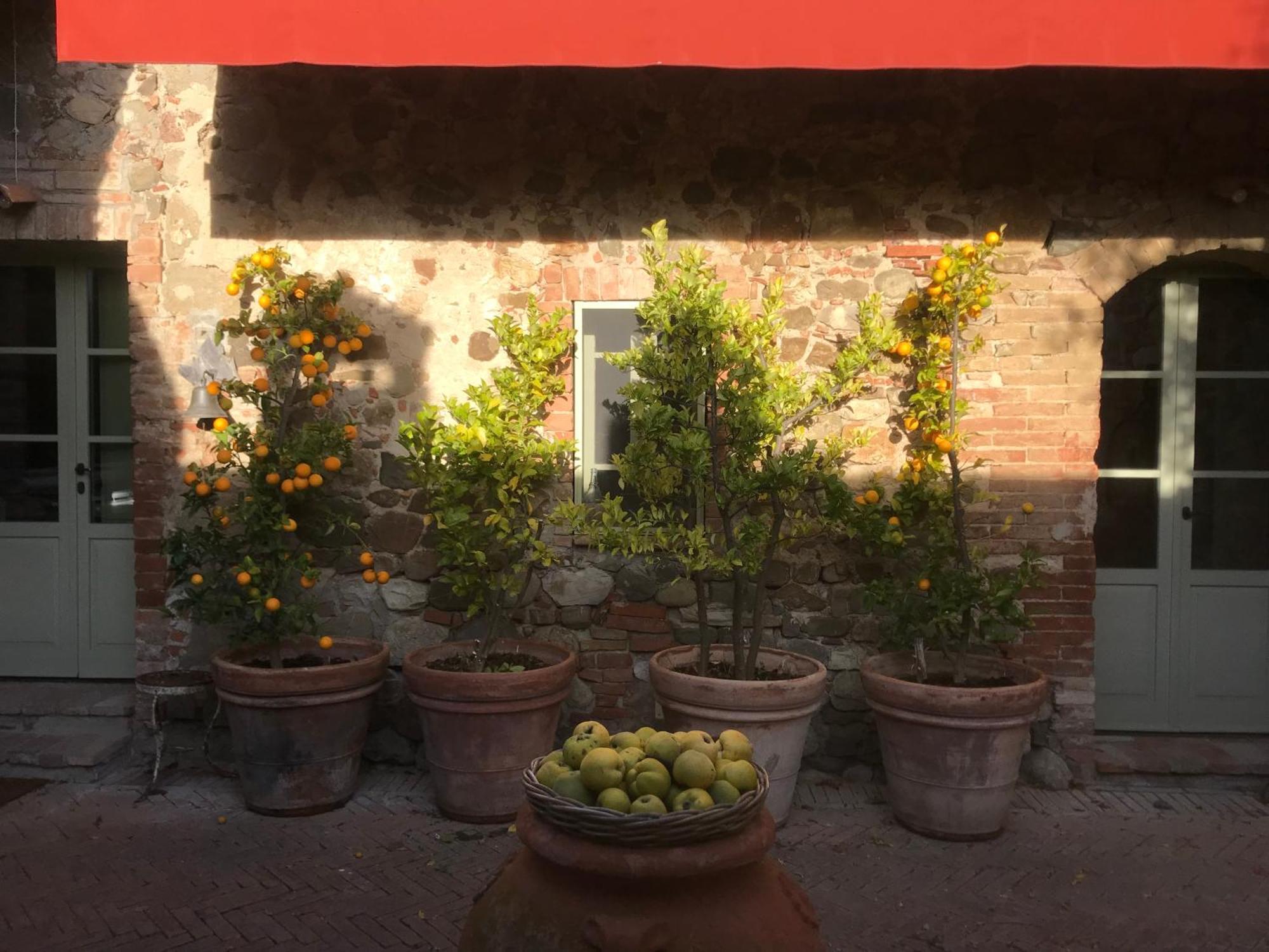 Dimora Buonriposo Pienza Country House Hotel Contignano ภายนอก รูปภาพ
